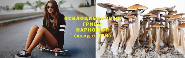 дживик Алзамай