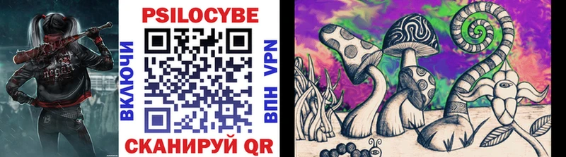 Псилоцибиновые грибы Psilocybe  блэк спрут ТОР  Пыталово 